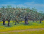 Jakobsweg I - Öl auf Leinwand - 40x50 cm