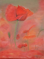 Mohnblume I - Öl auf Leinwand - 30x40 cm