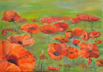 Mohnblumenfeld - Öl auf Leinwand - 50x70 cm