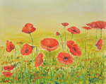 Mohnblumenwiese - Öl auf Malpappe - 40x50 cm