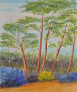 Pinien in der Provence - Öl auf Leinwand - 50x60 cm