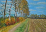 Birken in Sittensen - Öl auf Leinwand - 70x50 cm