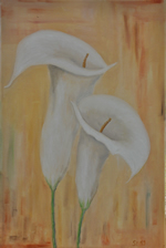 Calla-hell - Öl auf Leinwand - 60x40cm