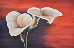 Calla-rot - Öl auf Leinwand - 60x90cm