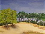 Everinghausener Heide -  2 - Öl auf Leinwand - 60x80 cm