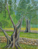 Olivenhain Mallorca - Öl auf Leinwand - 50x40 cm
