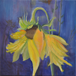Sonnenblume - Öl auf Leinwand - 40x40cm